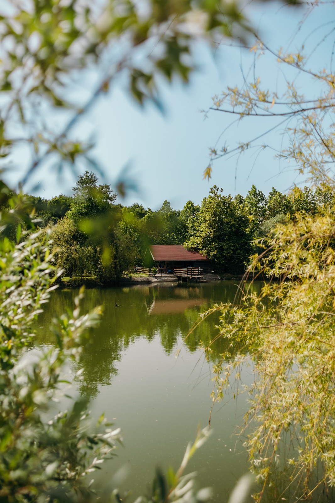 Jezero među drvećem, u daljini drvena kućica